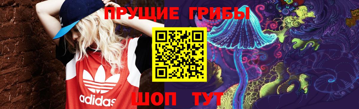 Альметьевск  Псилоцибиновые грибы GOLDEN TEACHER  Вход с VPN  как найти   Псилоцибиновые грибы мицелий 